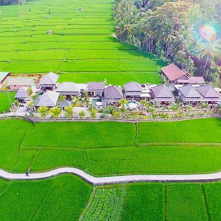 Villa Jj And Spa Ubud Dış mekan fotoğraf