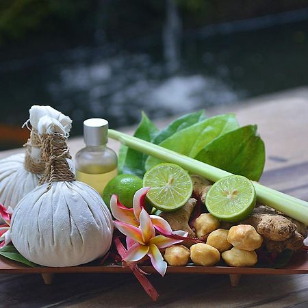 Villa Jj And Spa Ubud Dış mekan fotoğraf