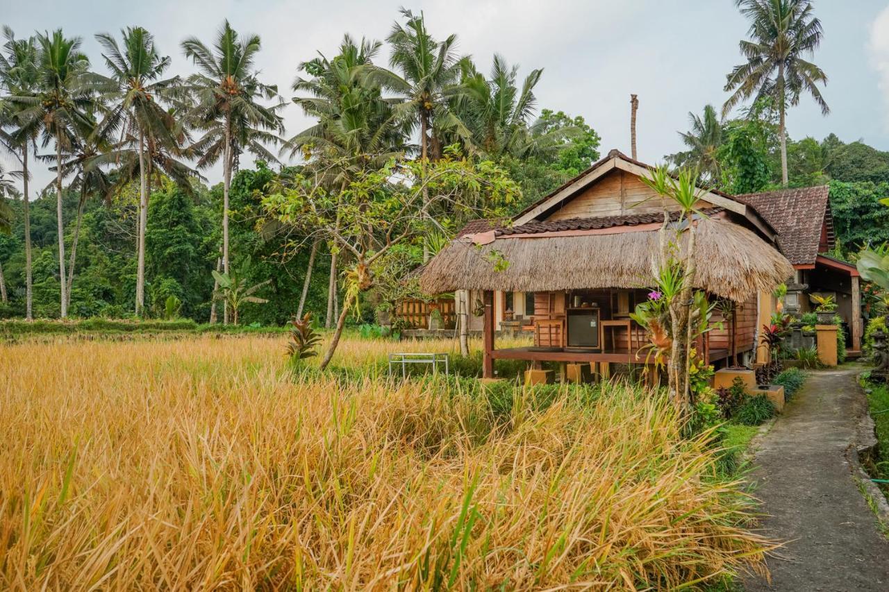 Villa Jj And Spa Ubud Dış mekan fotoğraf