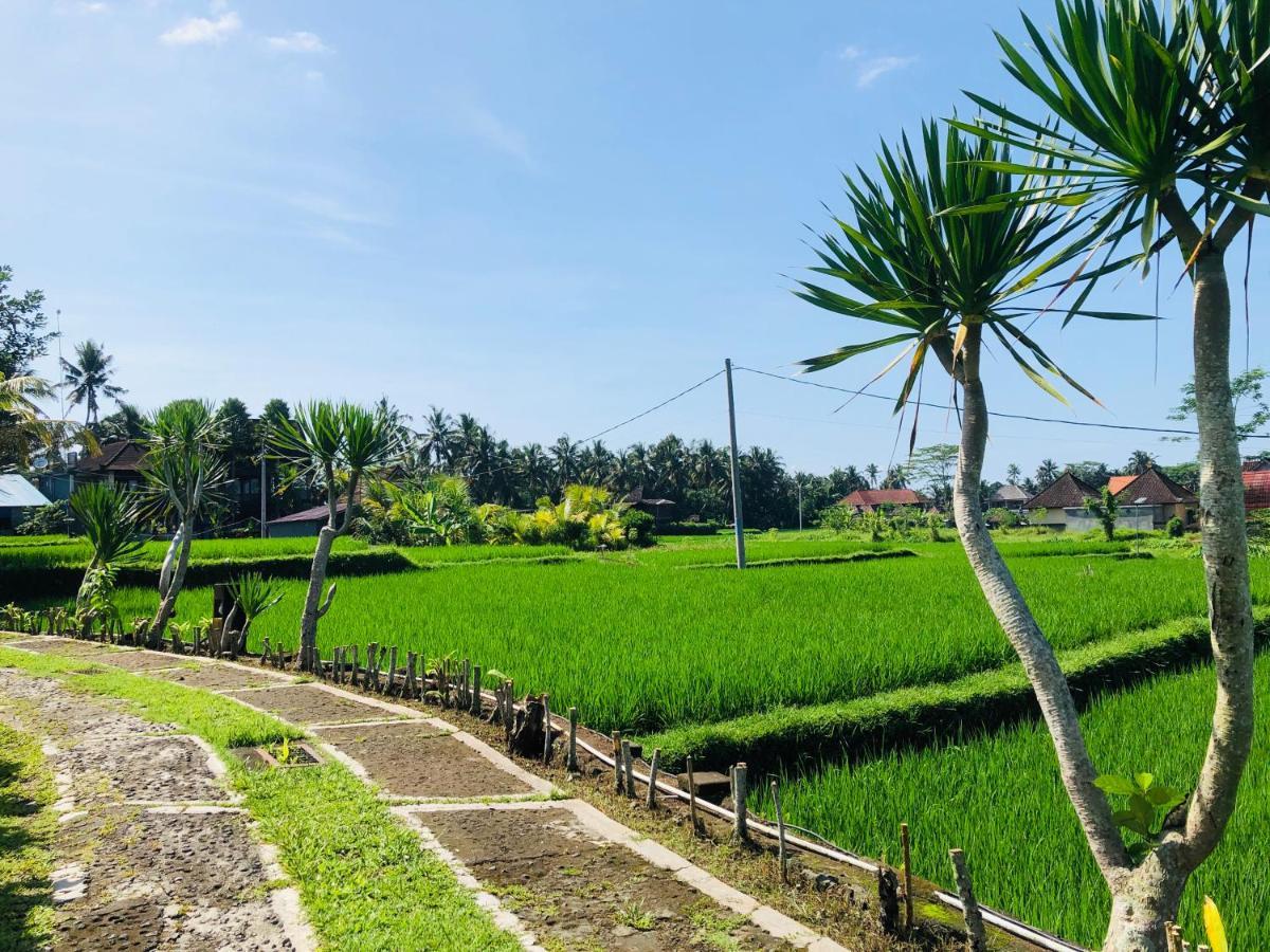 Villa Jj And Spa Ubud Dış mekan fotoğraf