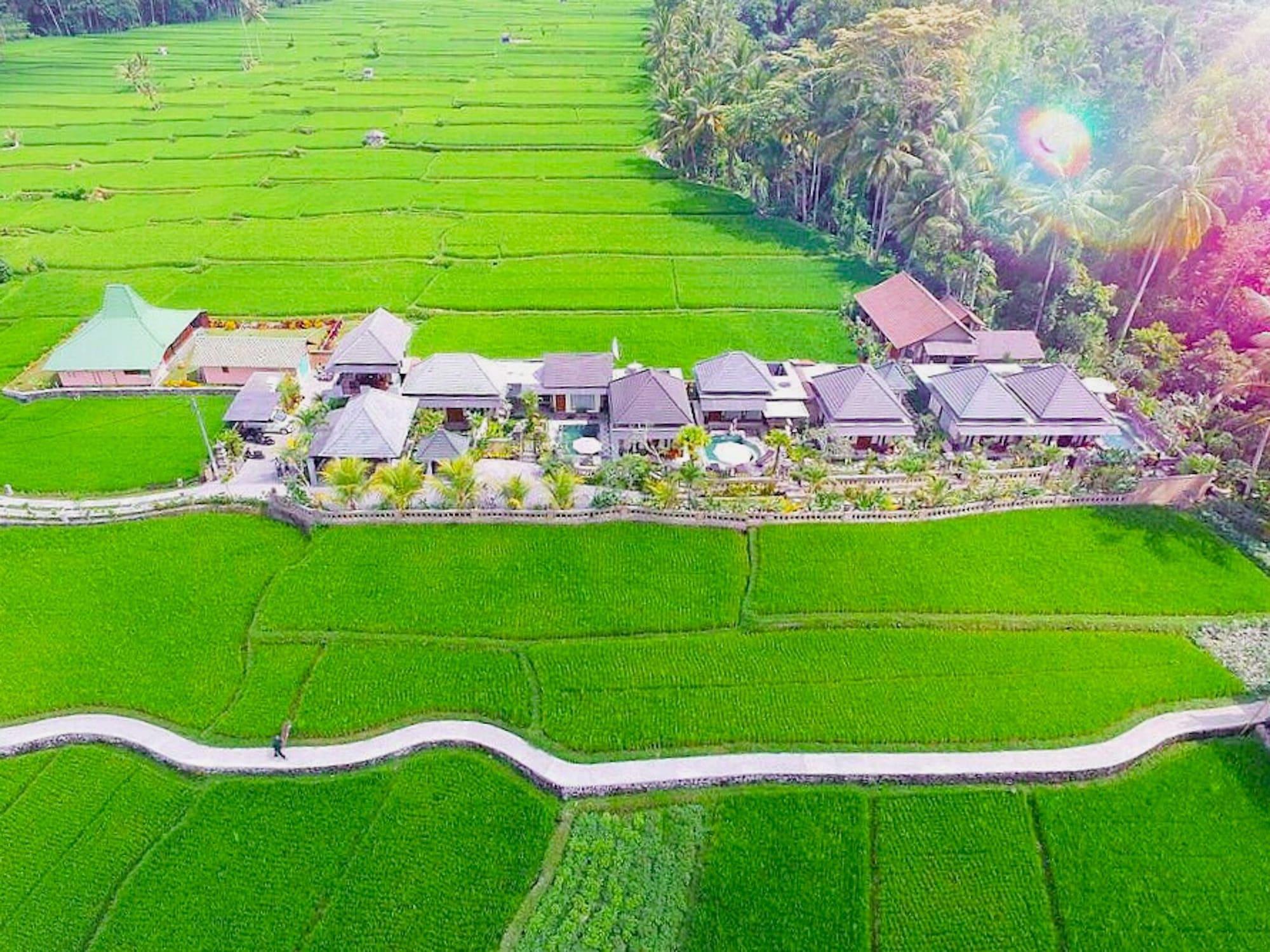 Villa Jj And Spa Ubud Dış mekan fotoğraf