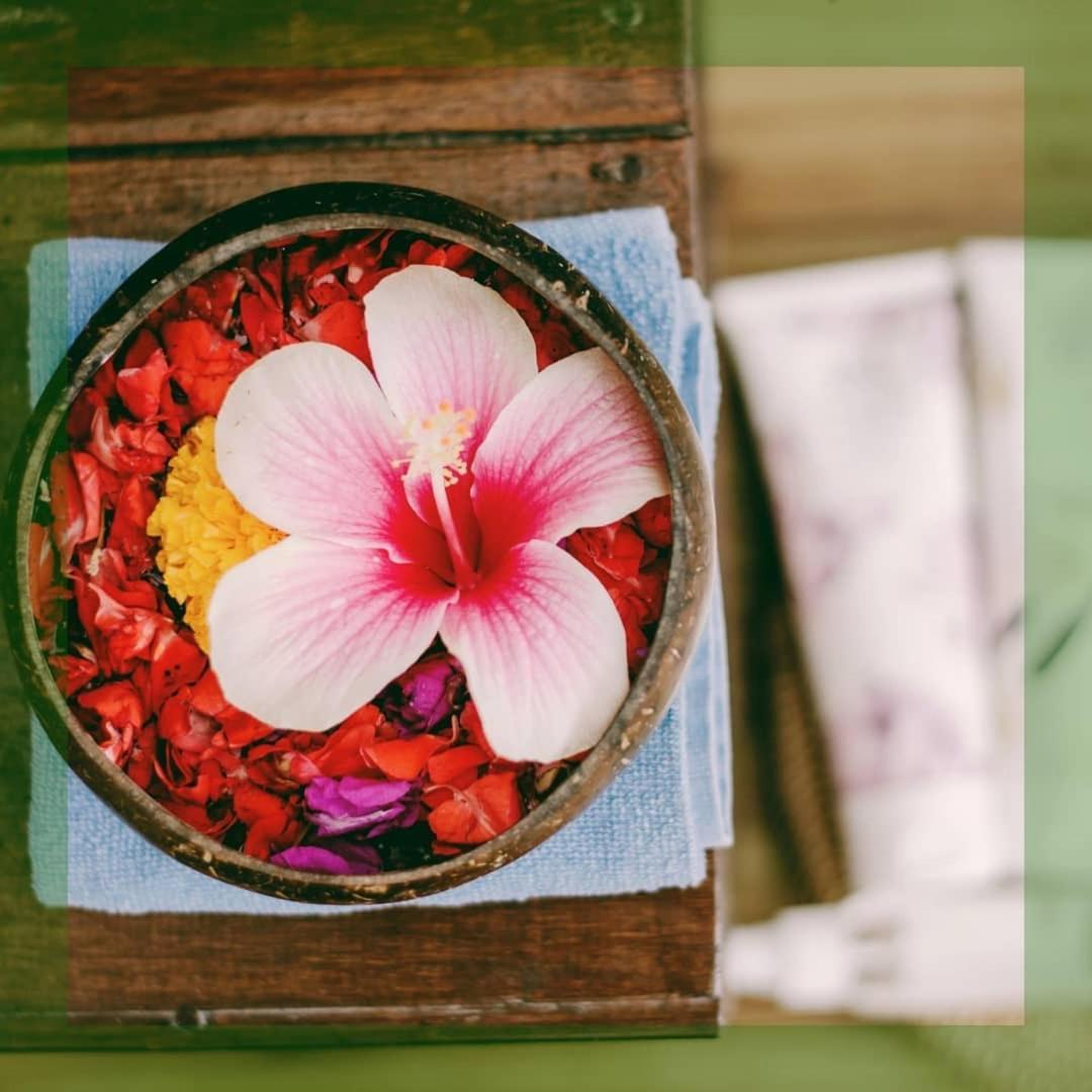 Villa Jj And Spa Ubud Dış mekan fotoğraf